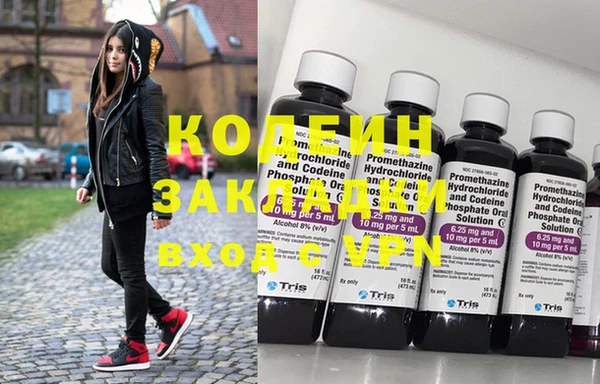 хмурый Аркадак