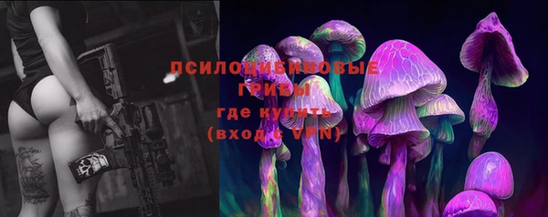 индика Армянск