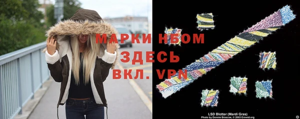 ешки Арсеньев