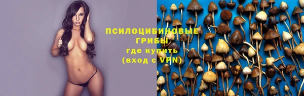 индика Армянск