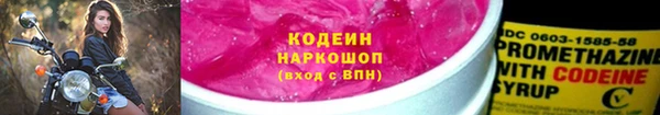 хмурый Аркадак
