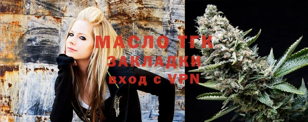 индика Армянск