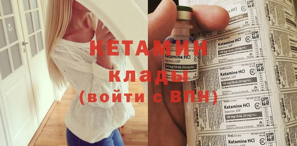 хмурый Аркадак