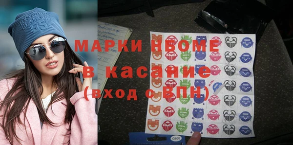 хмурый Аркадак