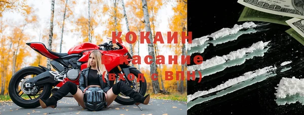 индика Армянск