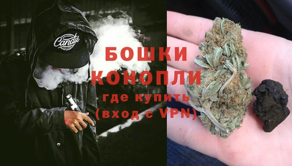 ешки Арсеньев
