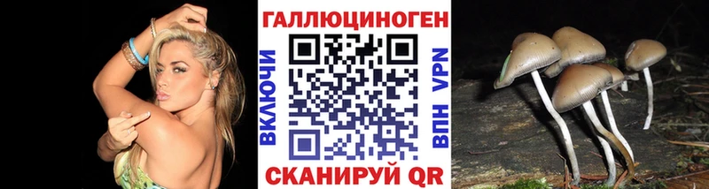 дарк нет какой сайт  что такое наркотик  Муравленко  Галлюциногенные грибы Psilocybine cubensis 